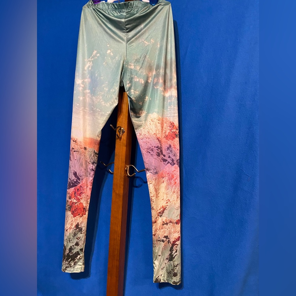 Wet seal leggings Women’s size Medium scenic scheme